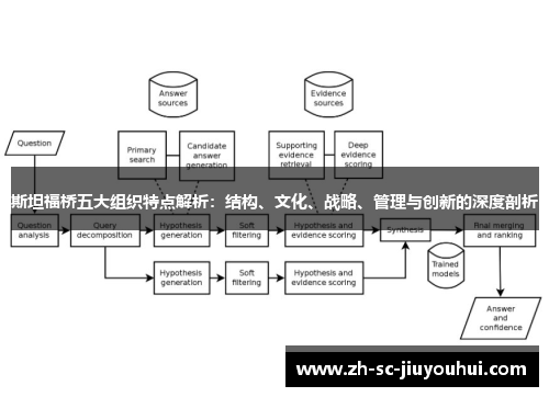 斯坦福桥五大组织特点解析：结构、文化、战略、管理与创新的深度剖析