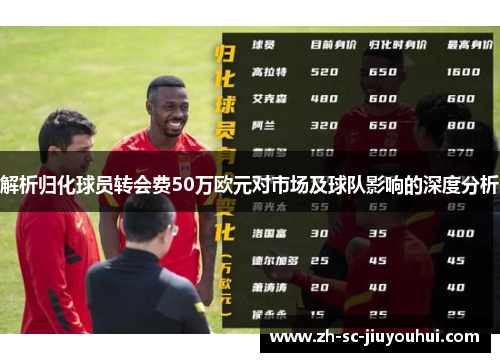 解析归化球员转会费50万欧元对市场及球队影响的深度分析 解析归化球员转会费50万欧元对市场及球队影响的深度分析