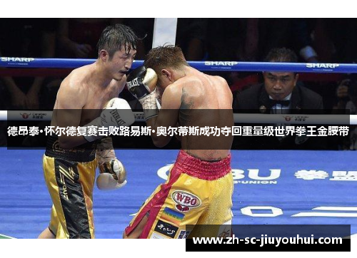 德昂泰·怀尔德复赛击败路易斯·奥尔蒂斯成功夺回重量级世界拳王金腰带