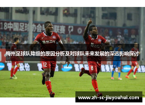 梅州足球队降级的原因分析及对球队未来发展的深远影响探讨